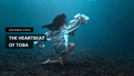 thumb-video-01025014B