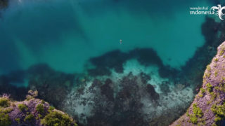 thumb-video-01025015023018022