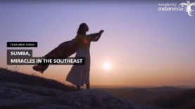 thumb-video-01025015023B