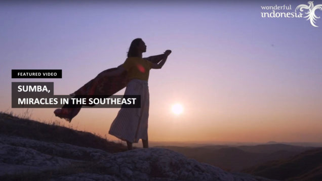 thumb-video-01025015023B