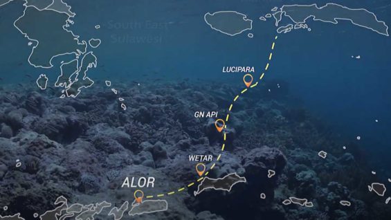 thumb-video-010250150230180381017b